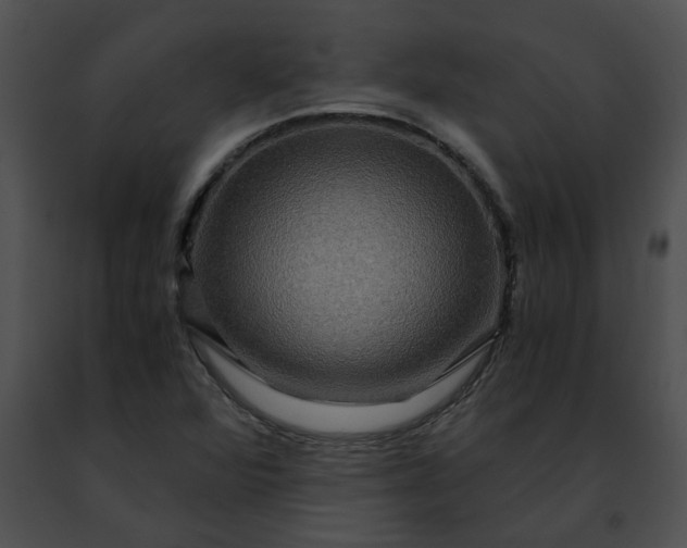 X0000091481360200708301905