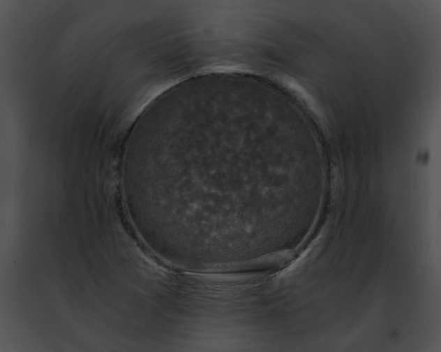 X0000091481361200708301905