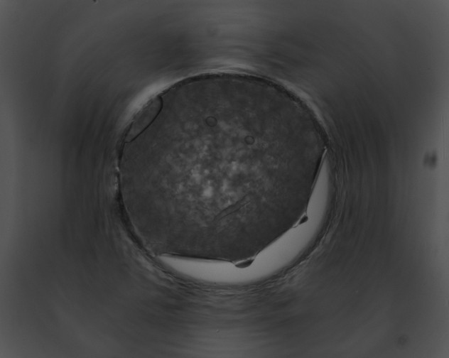 X0000091481363200708301905