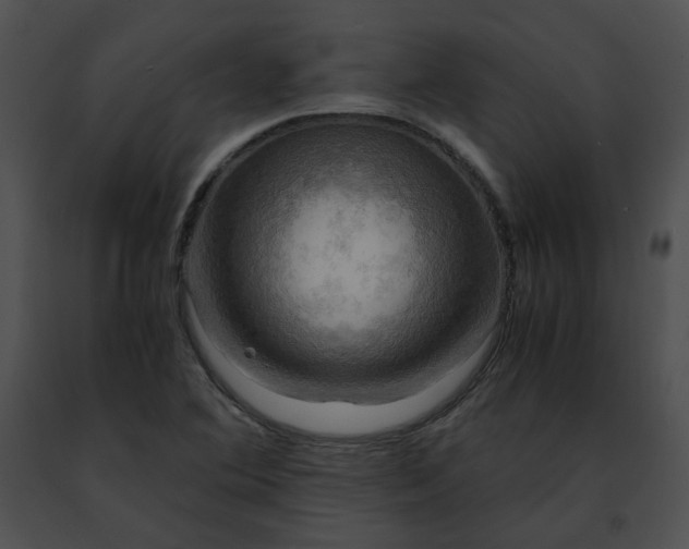 X0000091481364200708301905