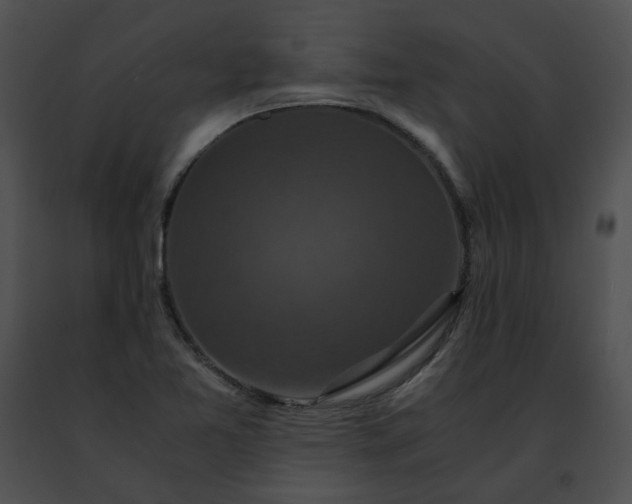 X0000091481365200708301905