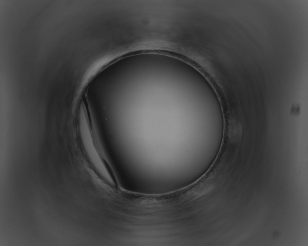 X0000091481366200708301905