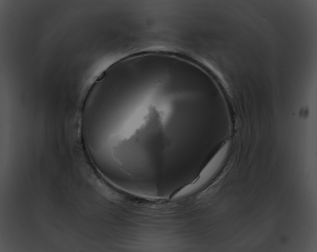 X0000091481367200708301905