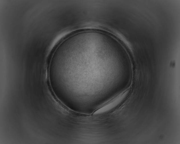 X0000091481368200708301905