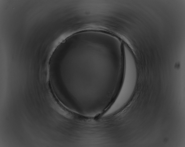 X0000091481371200708301905