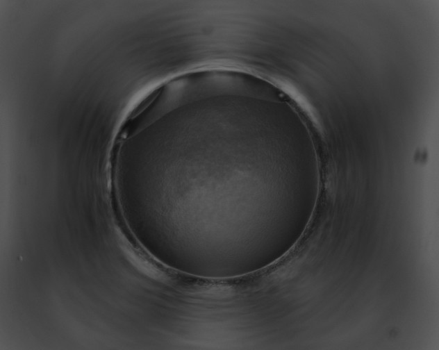 X0000091481372200708301905