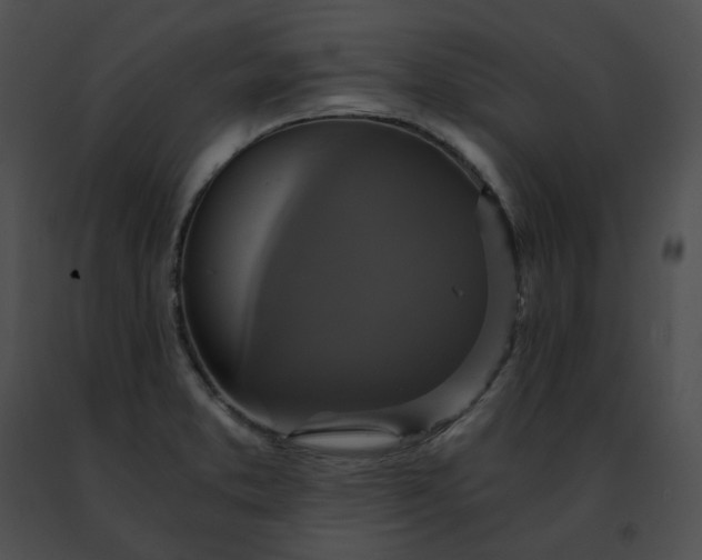 X0000091481373200708301905