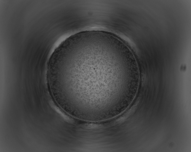 X0000091481374200708301905