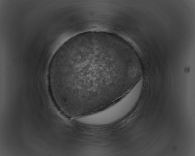 X0000091481375200708301905