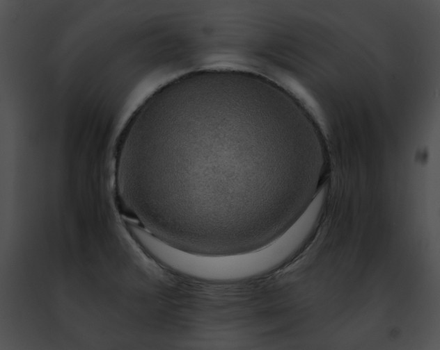 X0000091481376200708301905