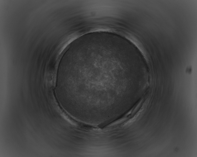 X0000091481377200708301905