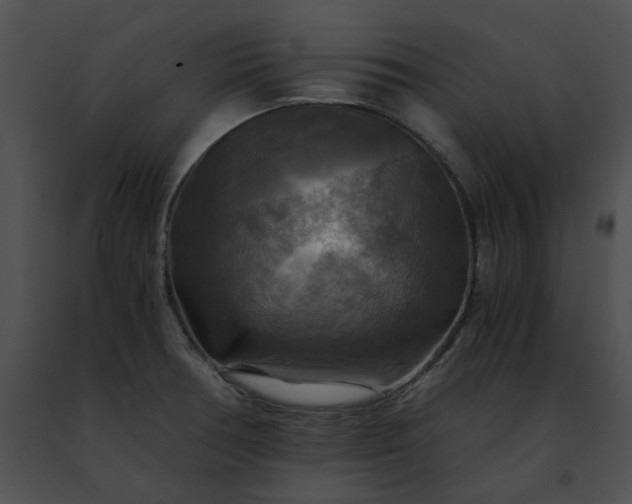 X0000091481378200708301905