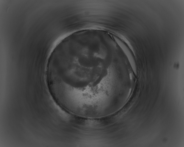 X0000091481379200708301905