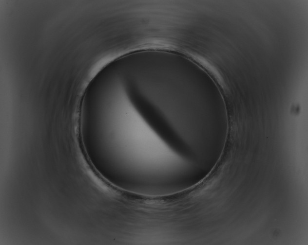 X0000091481383200708301905