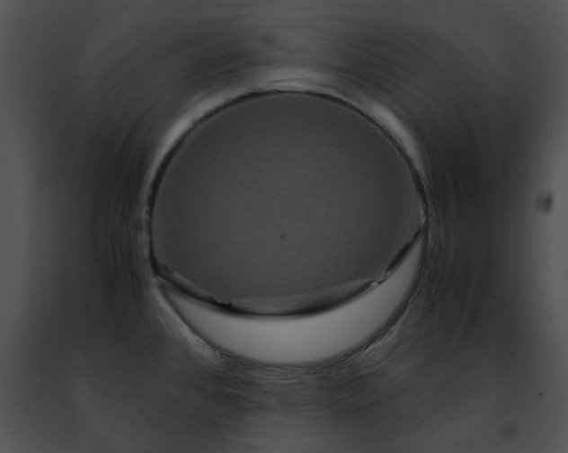 X0000091481384200708301905