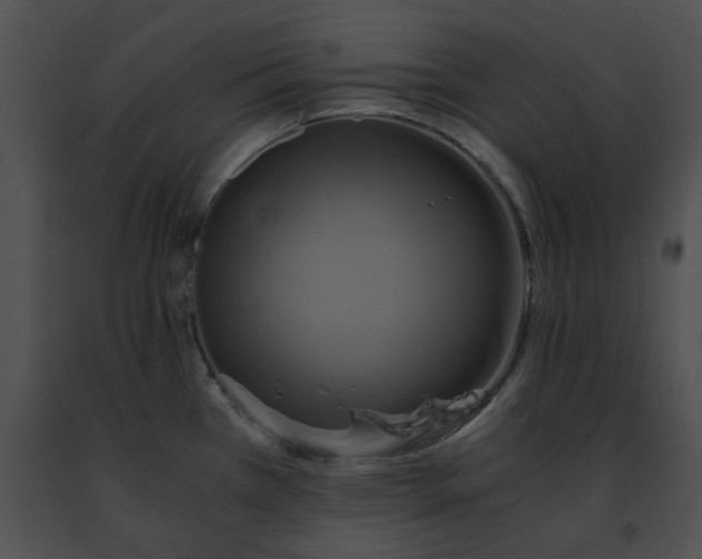 X0000091481385200708301905