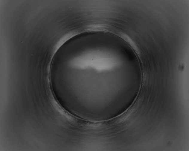 X0000091481386200708301905