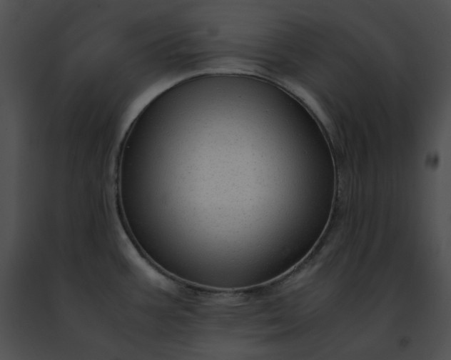 X0000091481387200708301905