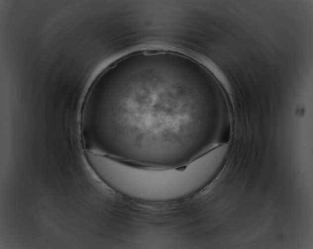 X0000091481388200708301905