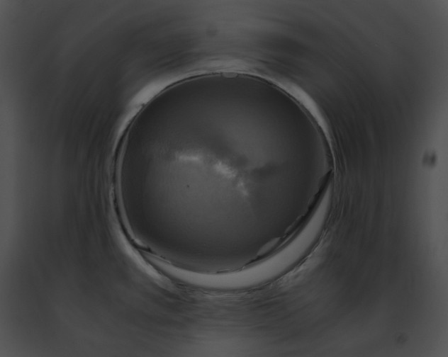 X0000091481389200708301905