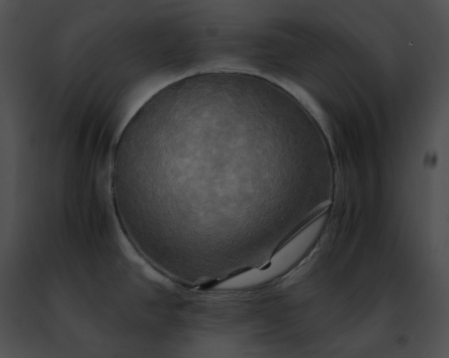 X0000091481390200708301905