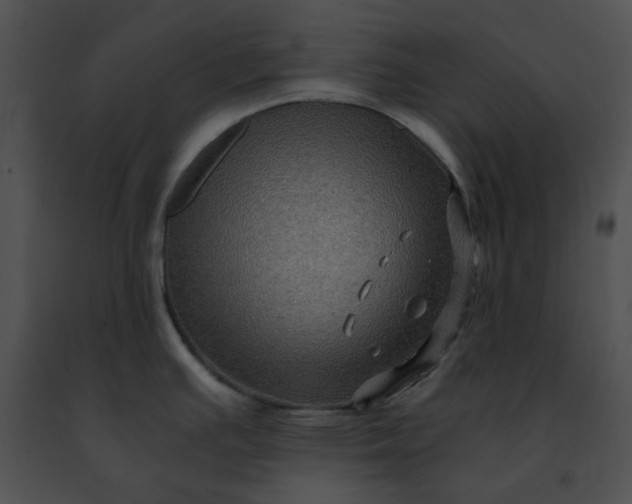 X0000091481391200708301905