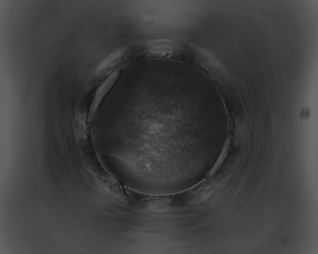 X0000091481394200708301904