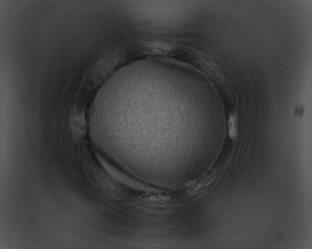 X0000091481395200708301904