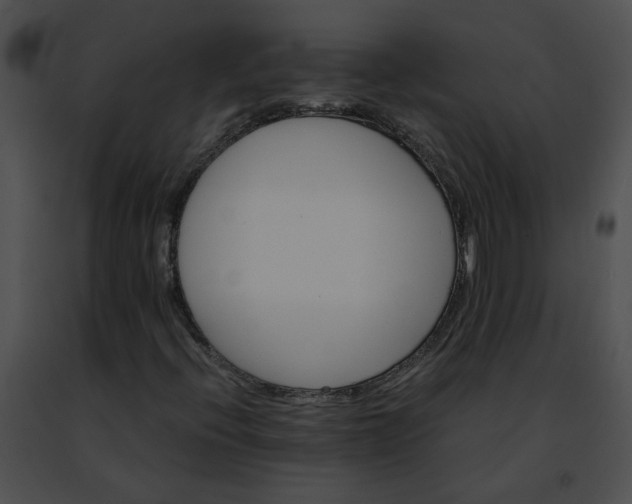 X0000091481396200708301904