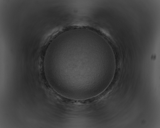 X0000091481398200708301904