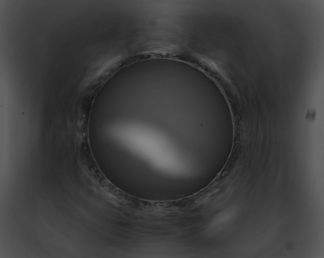 X0000091481399200708301904