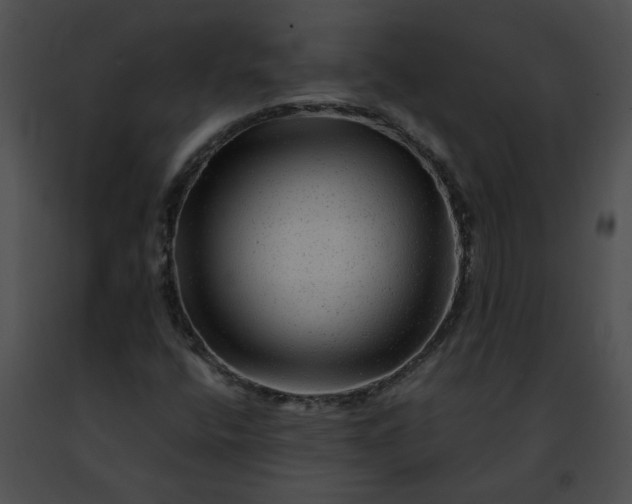 X0000091481400200708301904