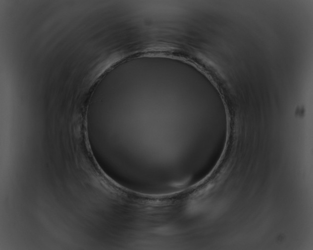 X0000091481401200708301904