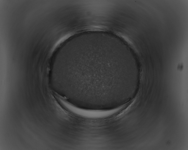 X0000091481402200708301904