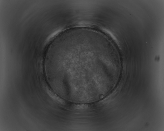 X0000091481403200708301904