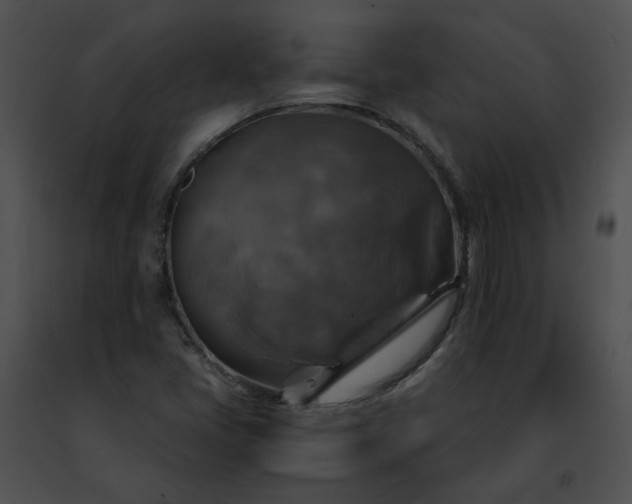 X0000091481405200708301904