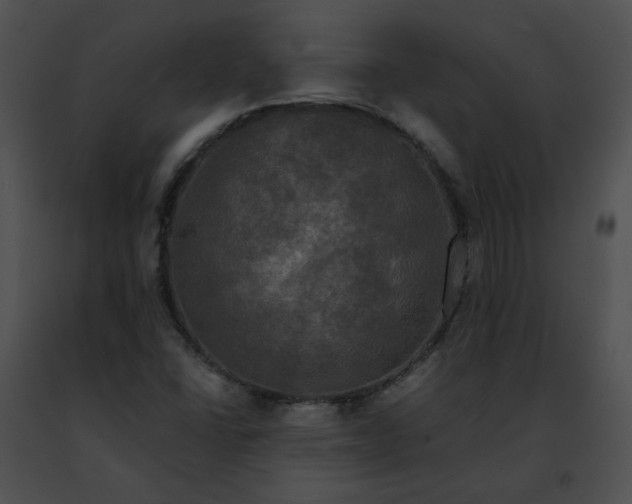 X0000091481406200708301904