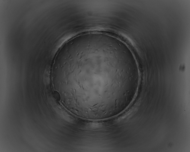 X0000091481409200708301904