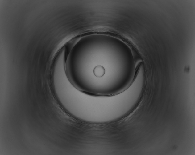 X0000091481410200708301904