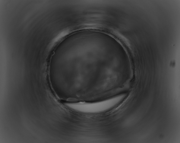 X0000091481411200708301904