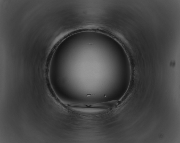 X0000091481412200708301904