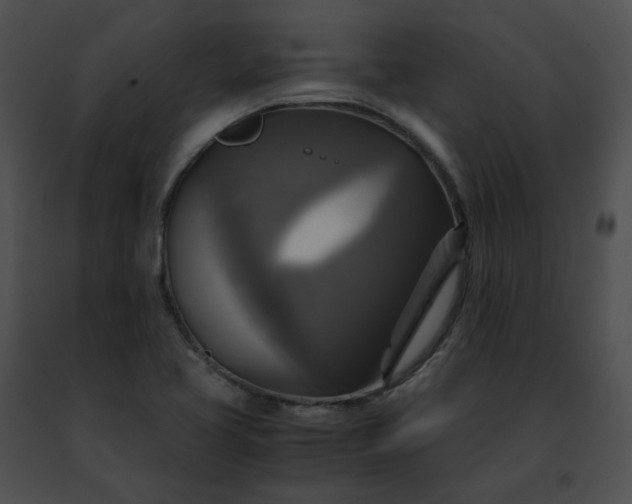 X0000091481413200708301904