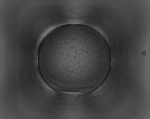 X0000091481414200708301904