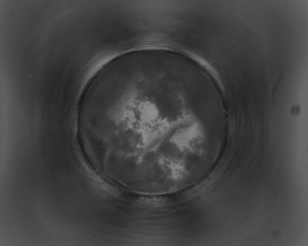 X0000091481415200708301904