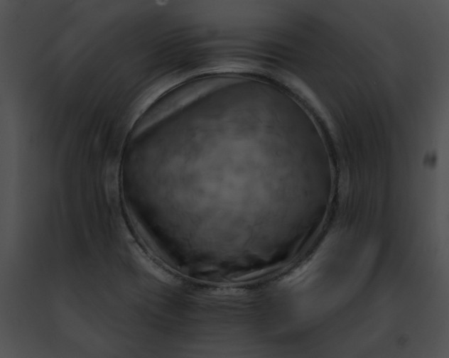 X0000091481417200708301904