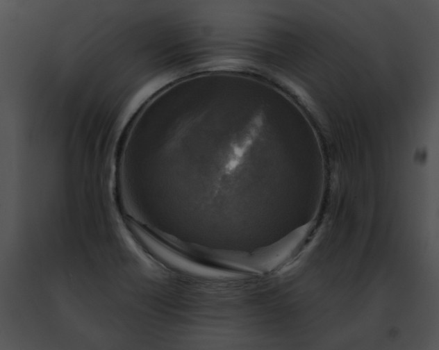 X0000091481418200708301904