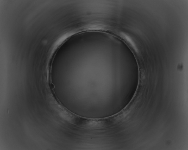 X0000091481419200708301904