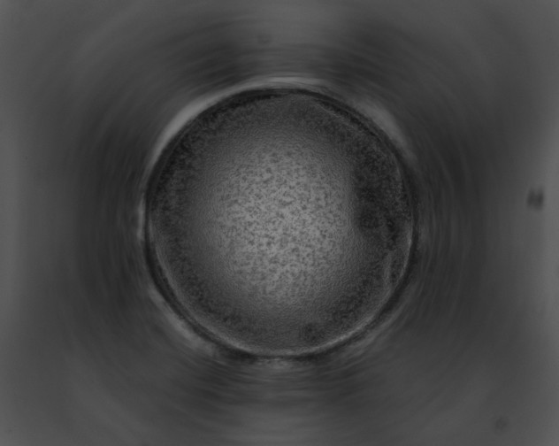 X0000091481420200708301904