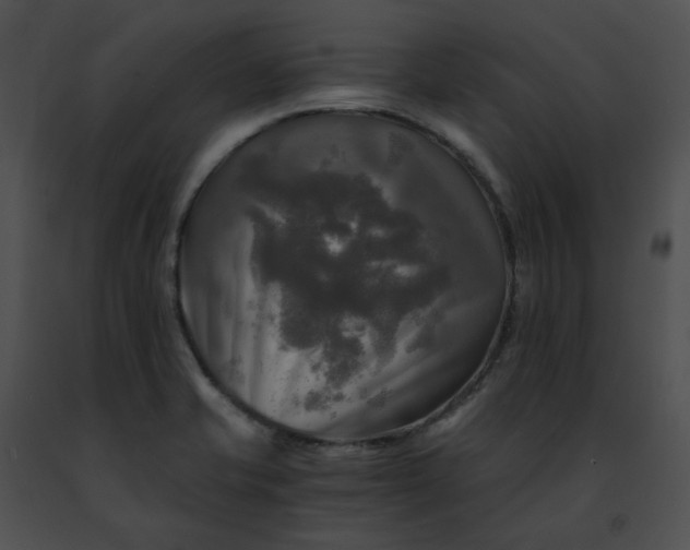 X0000091481421200708301904