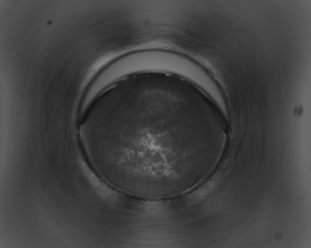 X0000091481422200708301904